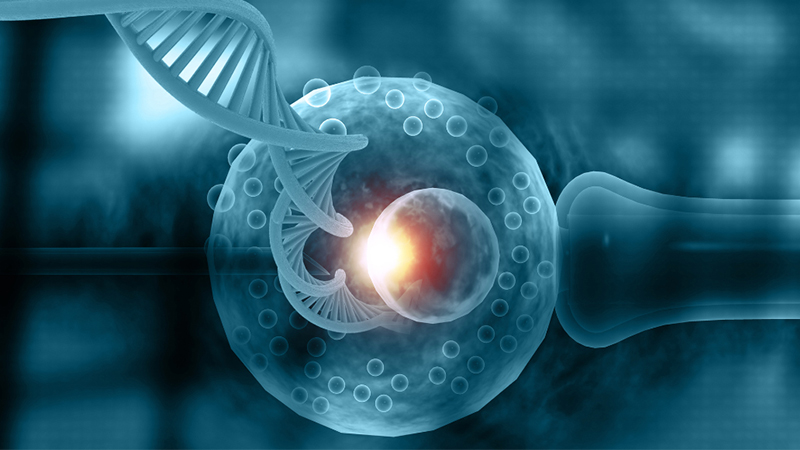 انتقال جنین