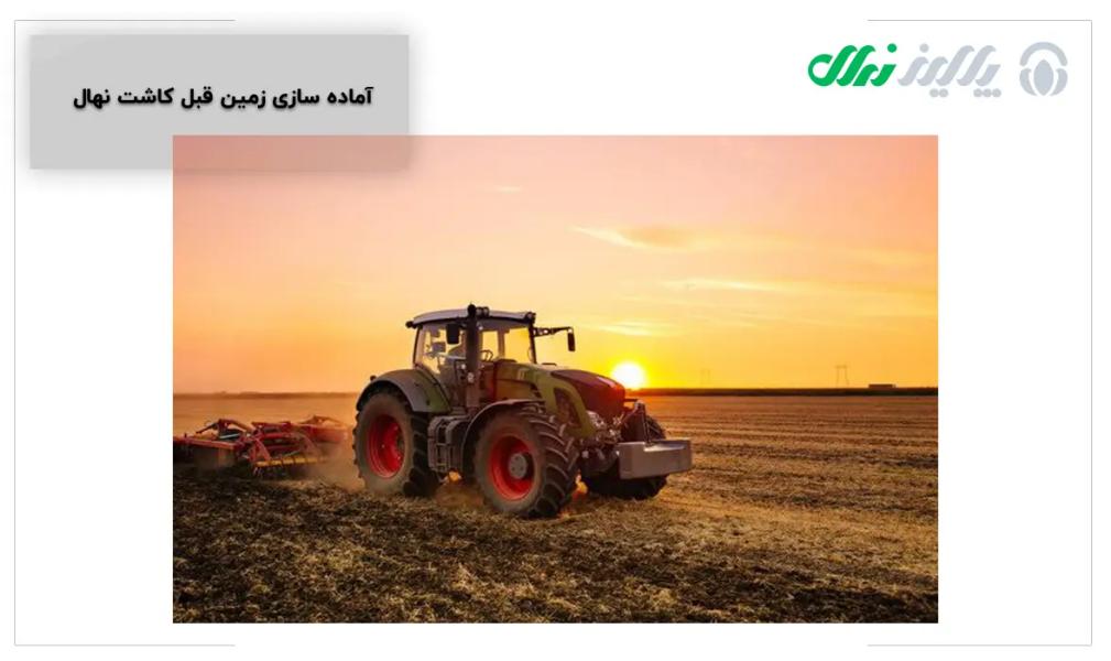 مساعد بودن بافت خاک برای کاشت شلیل