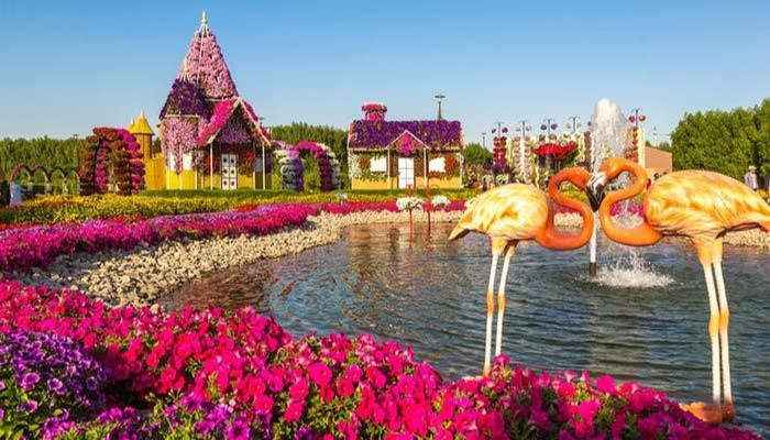 سفر به دبی در زمستان؛ بهترین فصل برای تفریح های آبی