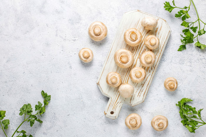 اهمیت یادگیری پرورش قارچ