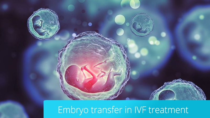 مراحل انتقال جنین موفق