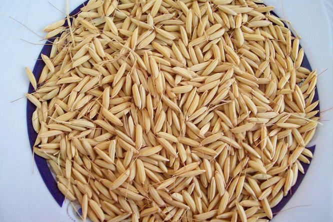  استفاده از جو دوسر برای درمان خارش و کهیر بعد از زایمان