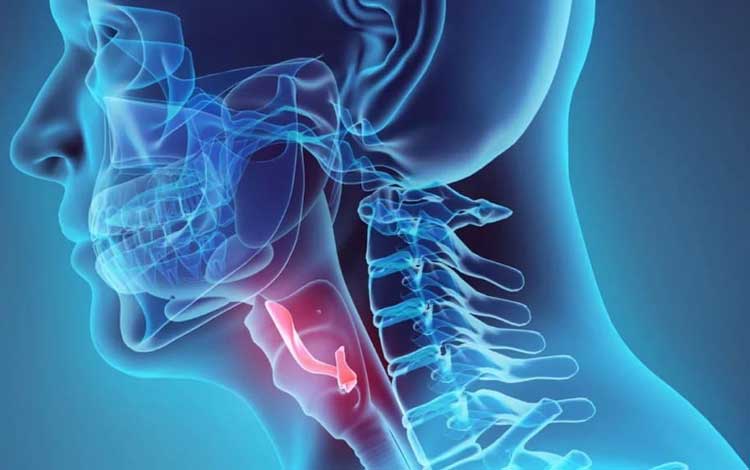 دیسفاژی یا مشکل بلع چیست؟ علائم و تشخیص