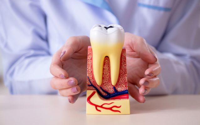 شناخت آمالگام و معرفی بهترین برند های آمالگام