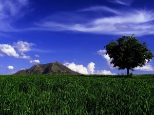 معرفی شهر زیبای بانه - مروری کلی بر مراکز تجاری و پاساژهای بانه