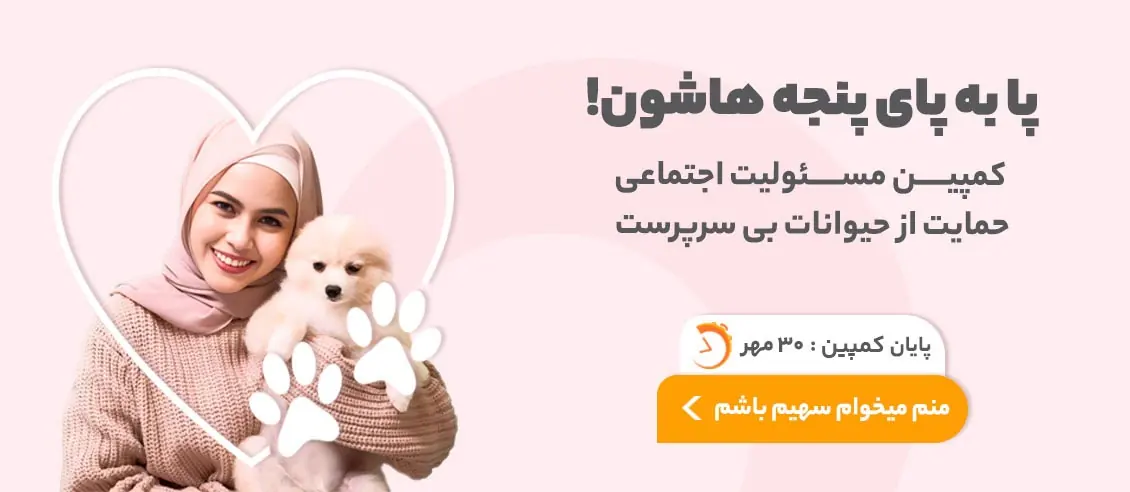 کمپین حمایت از حیوانات بی سرپرست در پناهگاه