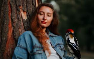 تعبیر خواب دارکوب - دیدن دارکوب در رویا چه معنی داره؟