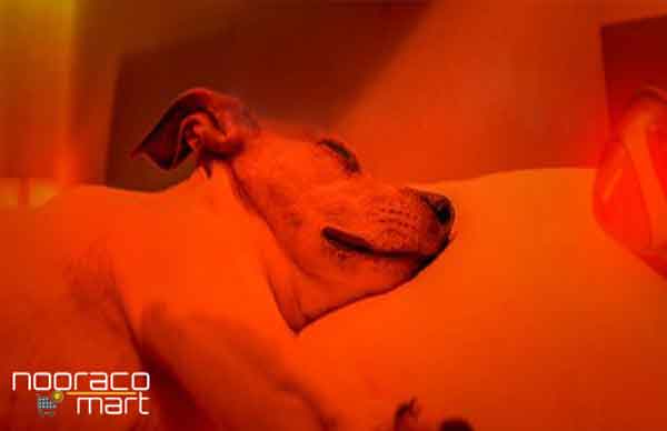 لامپ مادون قرمز -مزایا و معایب لامپ مادون قرمز