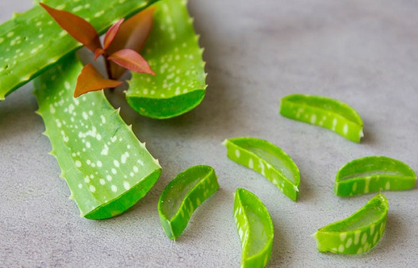 تاثیر ژل آلوئه ورا برای درمان کلوئید