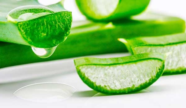 ژل آلوئه ورا برای درمان ترک پا