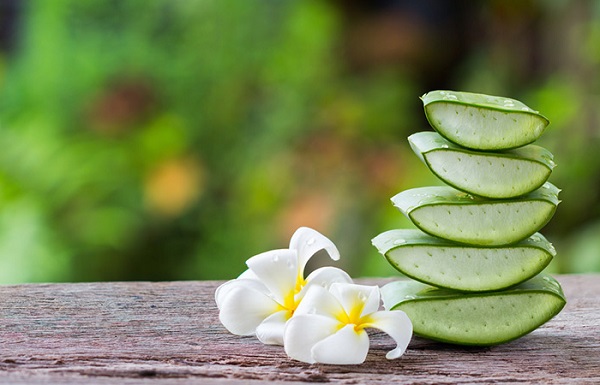 از بین بردن خال با آلوئه ورا