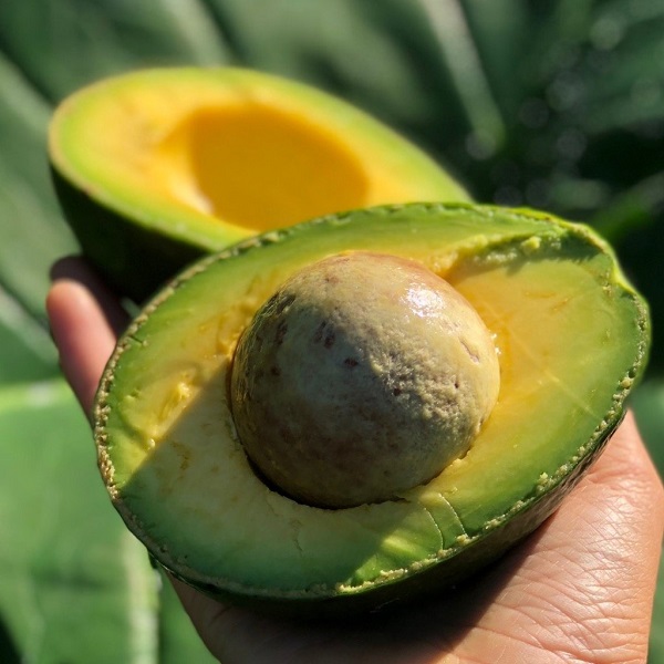 11 خاصیت غذایی و دارویی آووکادو + جدول ارزش غذایی