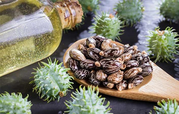 روغن کرچک برای رفع میلیا