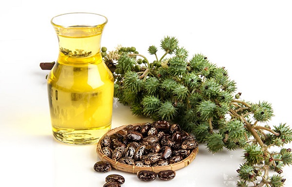 درمان خال با روغن کرچک