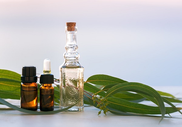 تاثیر روغن اوکالیپتوس برای درمان شپش