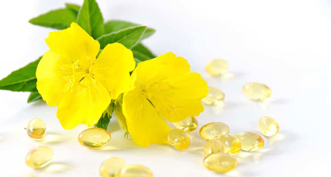 روغن گل مغربی - primrose oil - فواید و عوارض روغن پریم رز