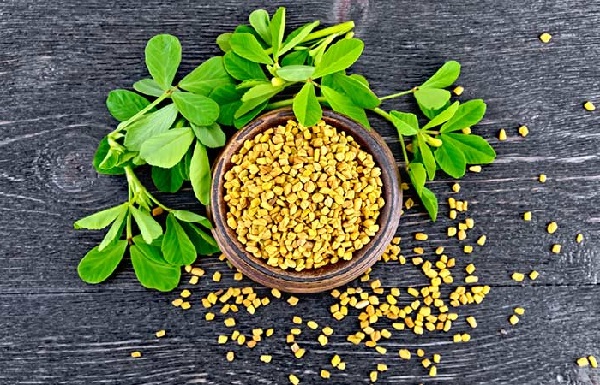 برگ شنبلیله برای رفع میلیا