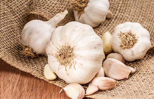  استفاده از سیر برای درمان کیست مویی