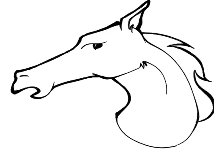 آموزش راحت و ساده نقاشی اسب-آموزش نقاشی سر اسب برای کودکان ۸ساله-نقاشی کودکانه اسب ساده