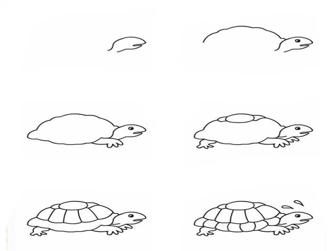 نقاشی لاک پشت-نقاشی آسان لاک پشت-آموزش نقاشی به کودکان-تصاویر برای نقاشی لاک پشت-آموزش نقاشی لاک پشت برای کودکان