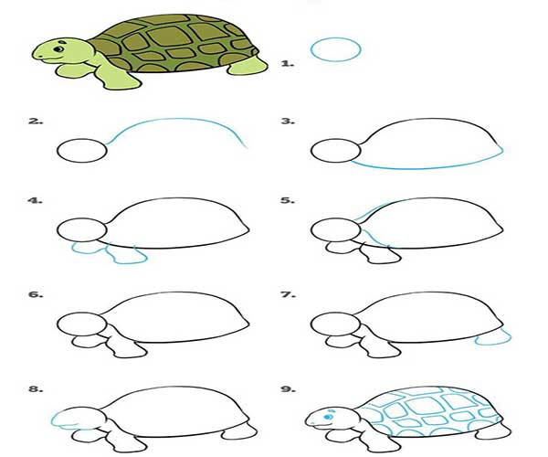 آموزش نقاشی لاک پشت برای کودکان به صورت گام به گام و تصویری بسیار ساده و بامزه