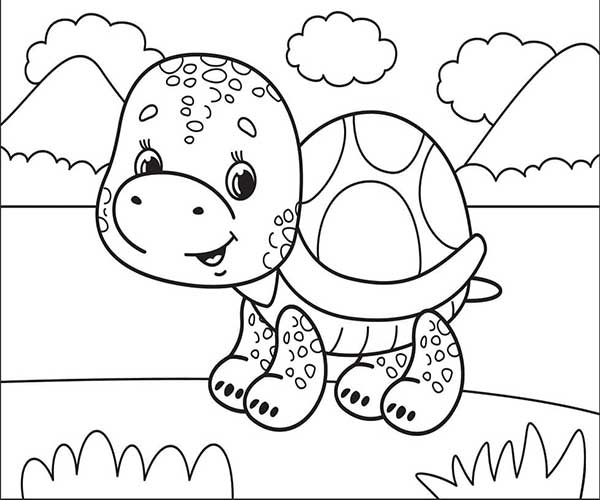 آموزشی نقاشی لاک پشت بامزه به 9 ساله ها-آموزش نقاشی لاک پشت برای پیش دبستانی ها-نقاشی لاک پشت برای کودکان ۸ساله