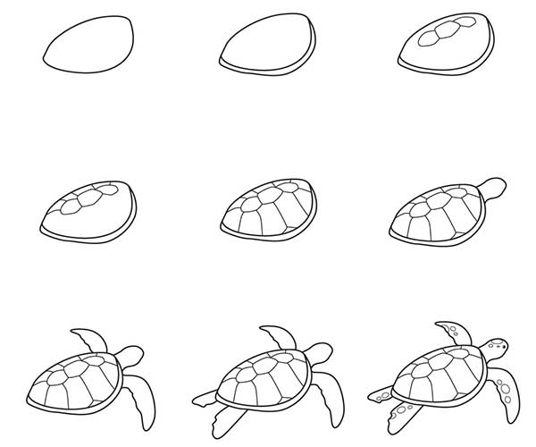 آموزشی نقاشی لاک پشت بامزه به 9 ساله ها-نقاشی لاک پشت برای پیش دبستانی ها-نقاشی لاک پشت برای کودکان ۸ساله