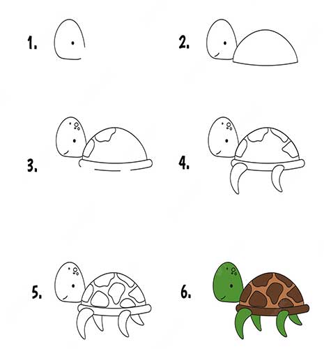 تصاویر برای آموزش نقاشی لاک پشت-آموزش نقاشی به کودکان