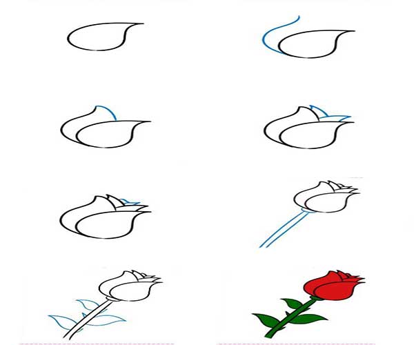 اموزش قدم به قدم نقاشی به کودکان ۱۳ ساله-آموزش راحت و ساده نقاشی-آموزش کشیدن نقاشی گل به کودکان و نوجوانان اموزش قدم به قدم نقاشی به کودکان ۱۳ ساله-آموزش راحت و ساده نقاشی-آموزش کشیدن نقاشی گل به کودکان و نوجوانان