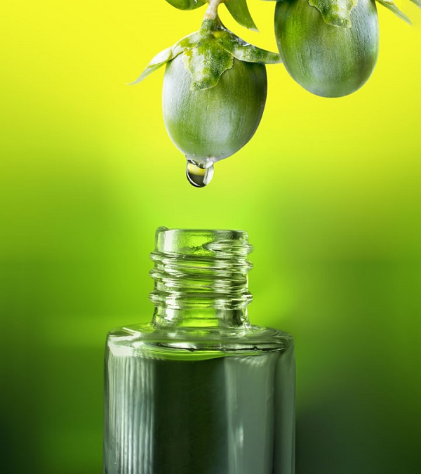 برای درمان گوشت اضافه از روغن جوجوبا استفاده کنید