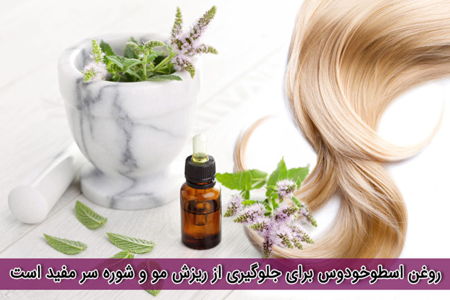 بهترین روغن های گیاهی که برای مو مفید هستند
