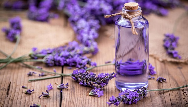  روغن اسطوخودوس برای درمان آکنه پشت و شانه