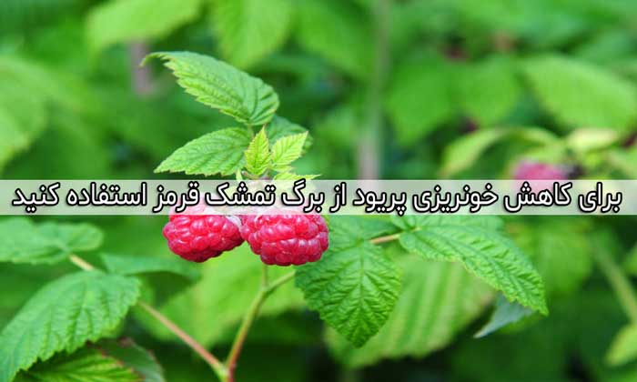 دلیل قاعدگی های شدید + درمان گیاهی و خانگی منوراژی