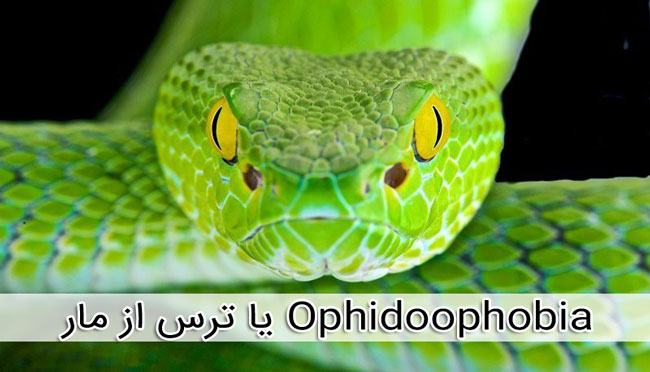 ترس از مار Ophidiophobia