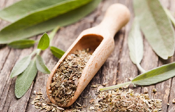 مریم گلی - درمان گیاهی موکوسل با طب سنتی