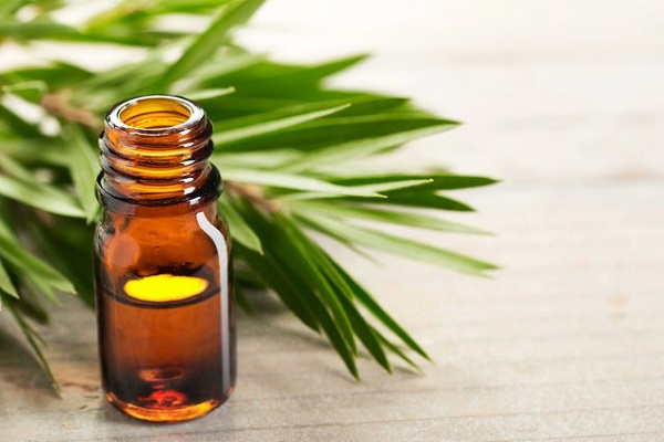  روغن درخت چای برای درمان پای ورزشکار