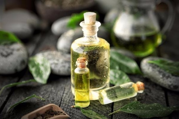 روغن درخت چای برای درمان کیست مویی