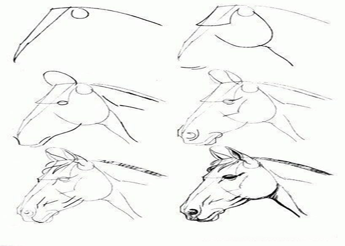 عکس نقاشی اسب بالدار برای رنگ آمیزی-آموزش قدم به قدم نقاشی اسب تک شاخ-تصاویر برای نقاشی اسب-آموزش نقاشی اسب در حال دویدن