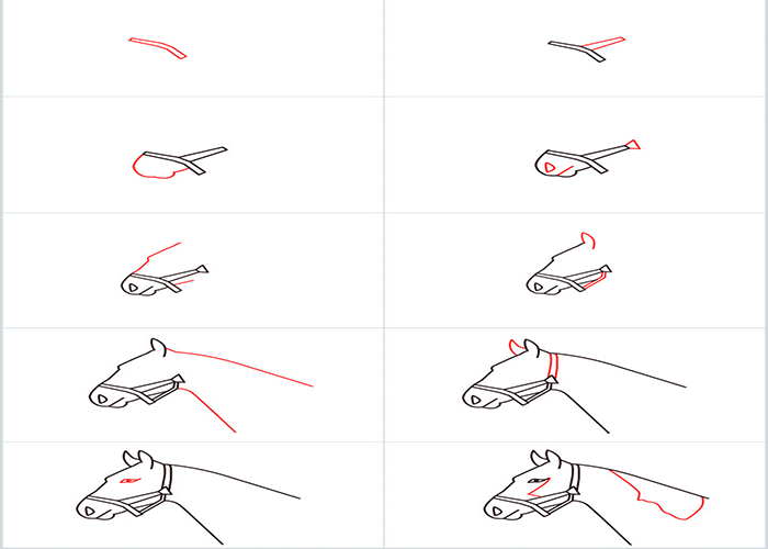 نقاشی اسب با مداد-آموزش نقاشی راحت و ساده اسب برای کودکان و نوجوانان-آموزش تصویری و قدم به قدم نقاشی اسب
