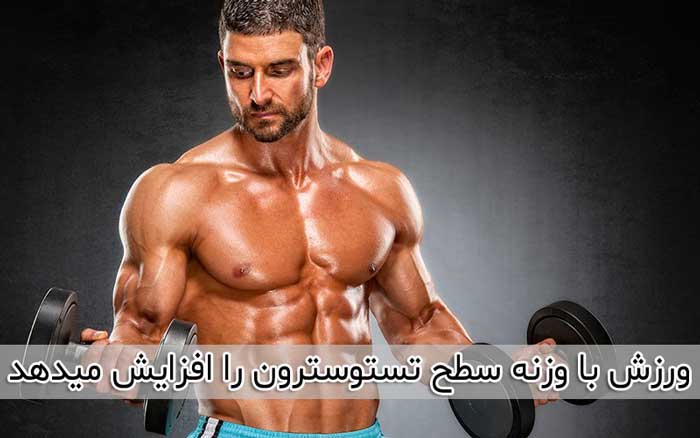 وزنه زدن می تواند هورمون تستوسترون را افزایش دهد 