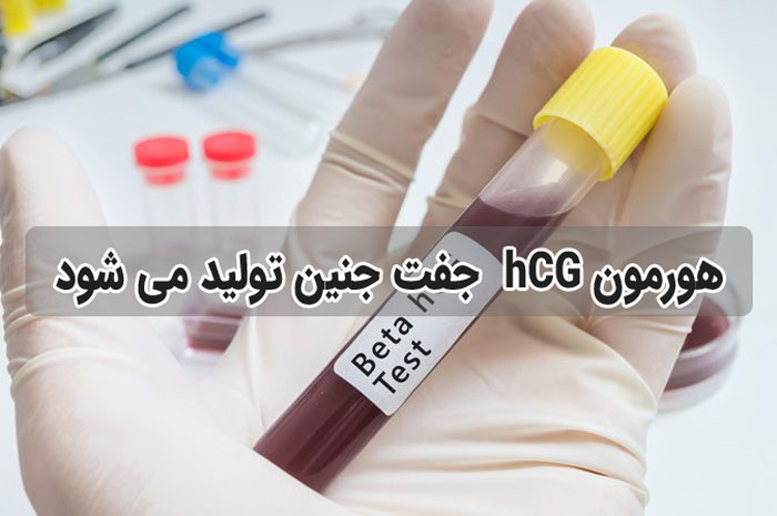 میزان هورمون بتا در دوران بارداری چقدر است ؟