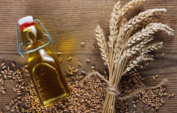 درمان سوختگی با آلوئه ورا و روغن جوانه گندم