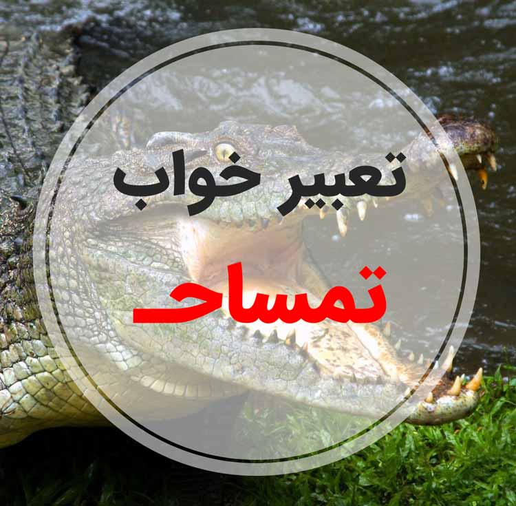 تعبیر خواب تمساح - لیست 91 معنی جدید دیدن کروکودیل در خواب