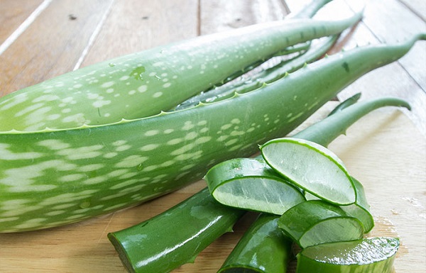آلوئه ورا برای رفع تب خال
