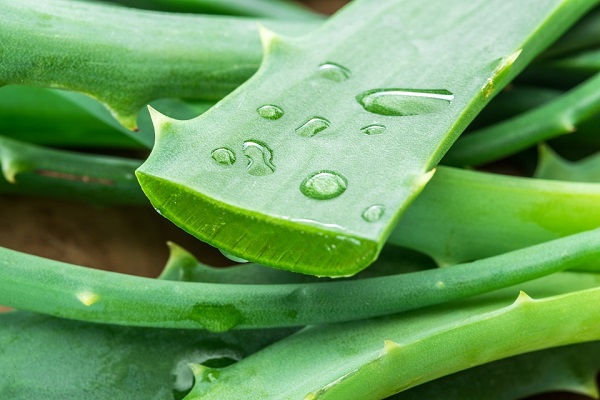 ژل آلوئه ورا برای رفع میلیا