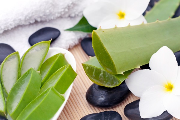 تاثیر آلوئه ورا برای درمان مولوسکوم