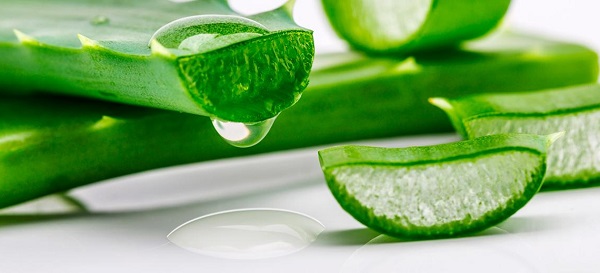 از آلوئه ورا استفاده کنید 