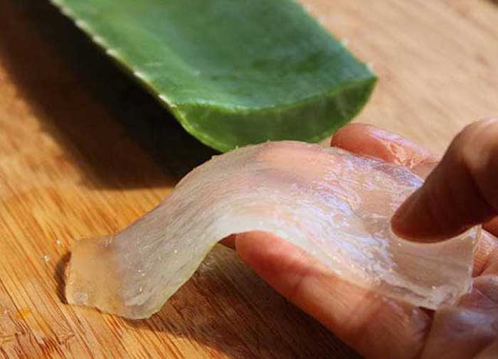 آلوئه ورا چگونه مصرف می شود؟ روش های مختلف