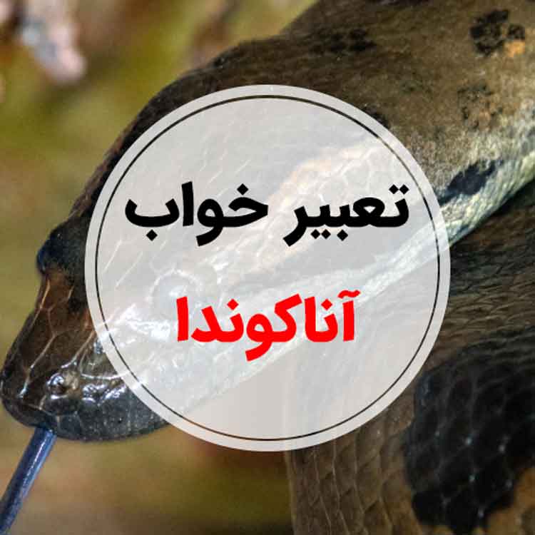 تعبیر خواب آناکوندا - لیست 49 معنی جدید دیدن آناکوندا در خواب