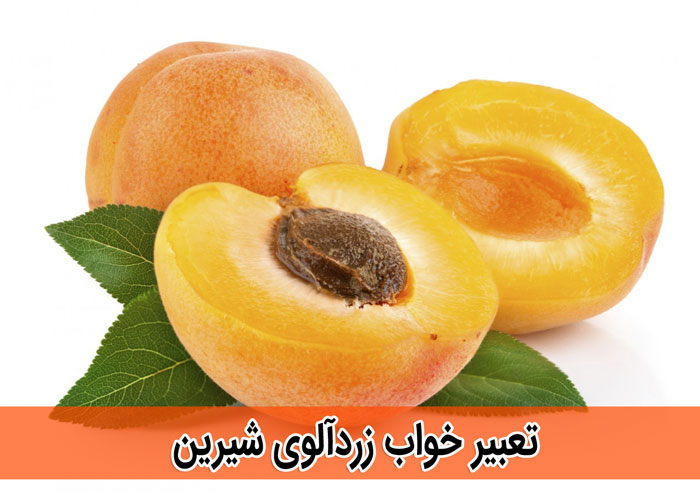 تعبیر خواب درخت زردآلو ابن سیرین تعبیر خواب زردآلو حضرت یوسف تعبیر خواب خوردن برگه زردآلو